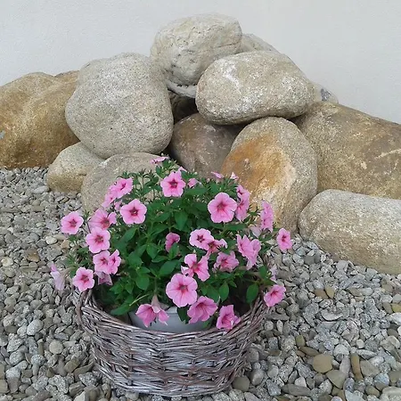 Apartment Hawran Pl Murzasichle