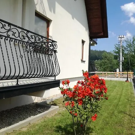 Hawran Pl Murzasichle